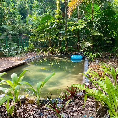 Daintree Siesta Villa Diwan Bagian luar foto