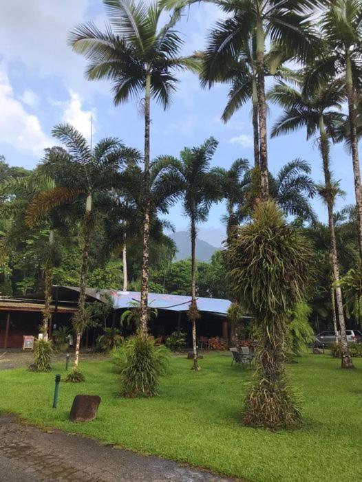 Daintree Siesta Villa Diwan Bagian luar foto