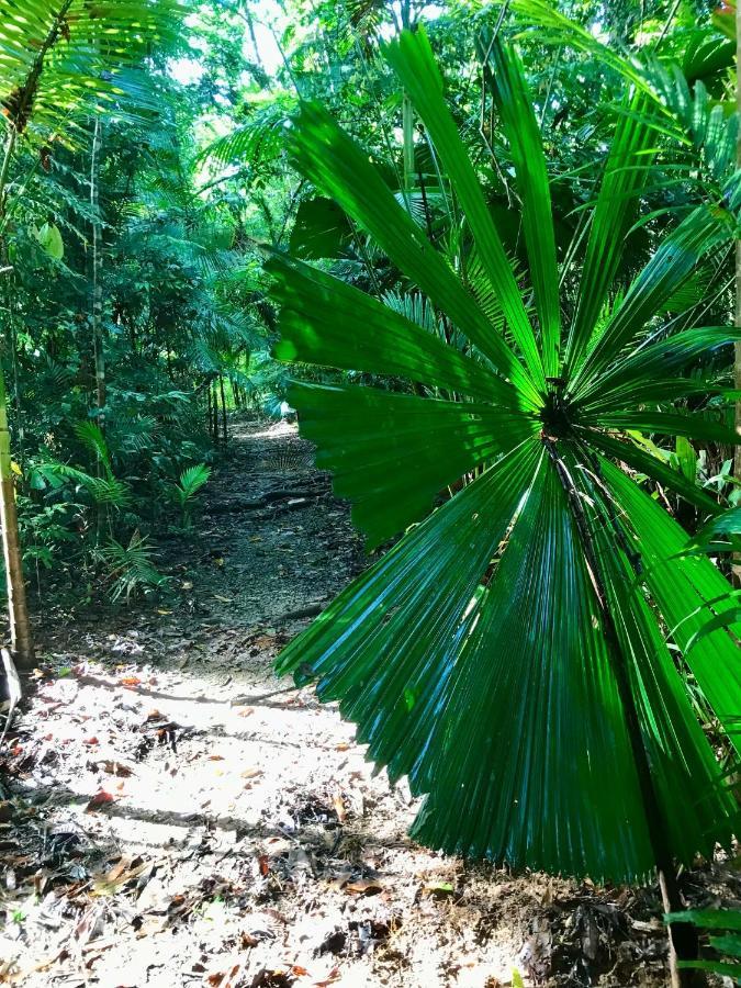 Daintree Siesta Villa Diwan Bagian luar foto