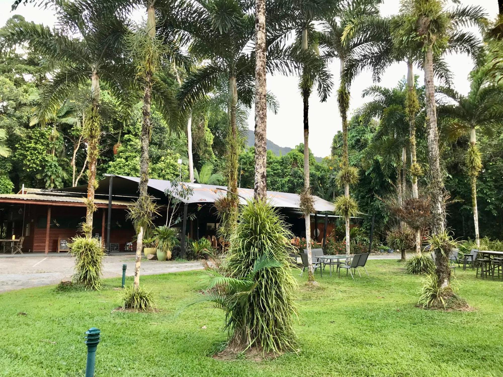 Daintree Siesta Villa Diwan Bagian luar foto
